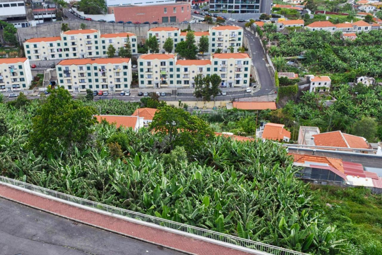 Design Gardens, A Home In Madeira Funchal  Kültér fotó